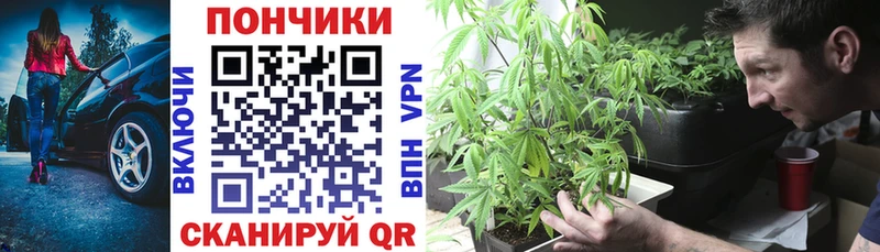 Купить закладки  Шебекино  Канабис Ganja 